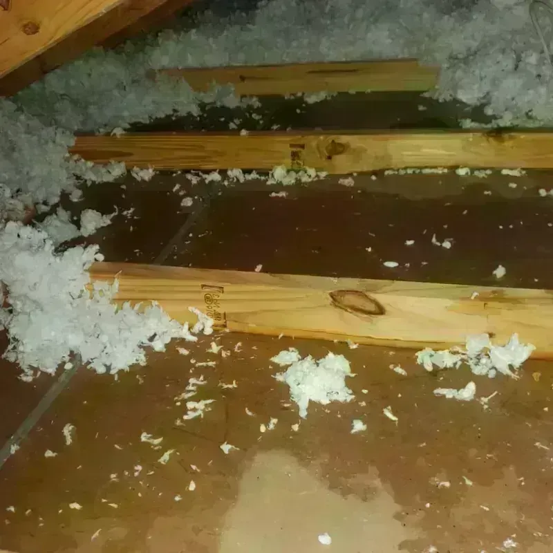 Attic Water Damage in Tutwiler, MS